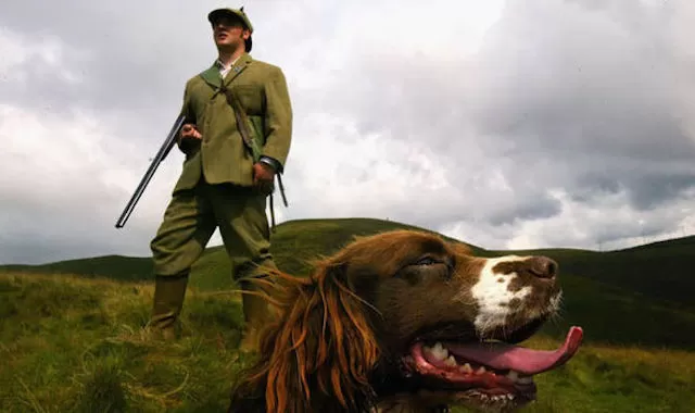 042 Grouse Moor Conservation – Is it for Real?