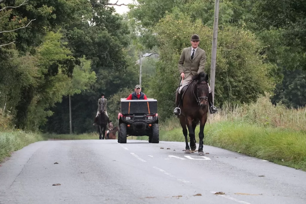 Cub Hunting, Cubbing, Autumn Hunting, Hound Exercise, Fox Hunting, Fox Hunts, Pony Club, Wildlife Matters Investigates, 