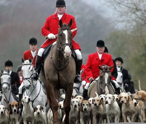 038 – Fox Hunting and why it is banned