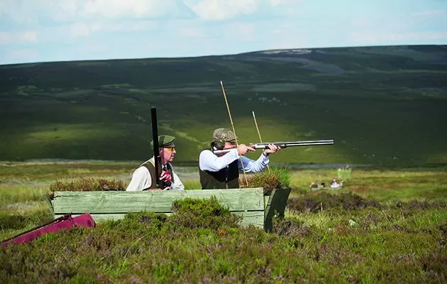 047 – Grouse Moor Shooting – What’s it all about?