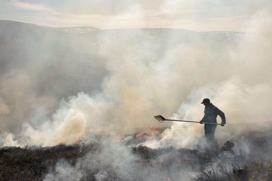 008 – Moorland Devastation -Exposed!