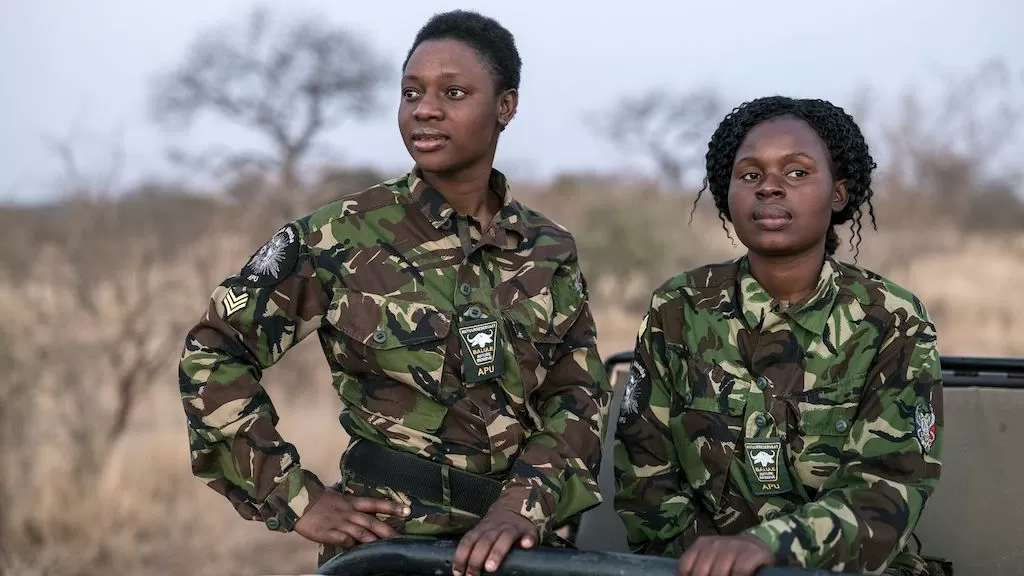 Wildlife Rangers in Africa Black Mambas Female Wildlife Rangers