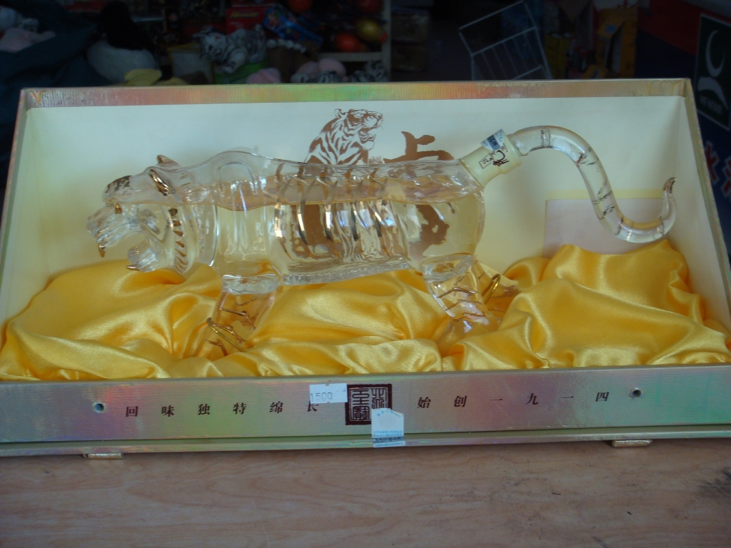 027 –  The Lion Bone Trade – A Roaring Success?