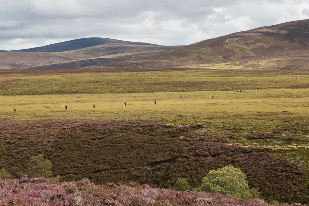 026 – Are We Subsidising Wildlife Persecution in the UK?