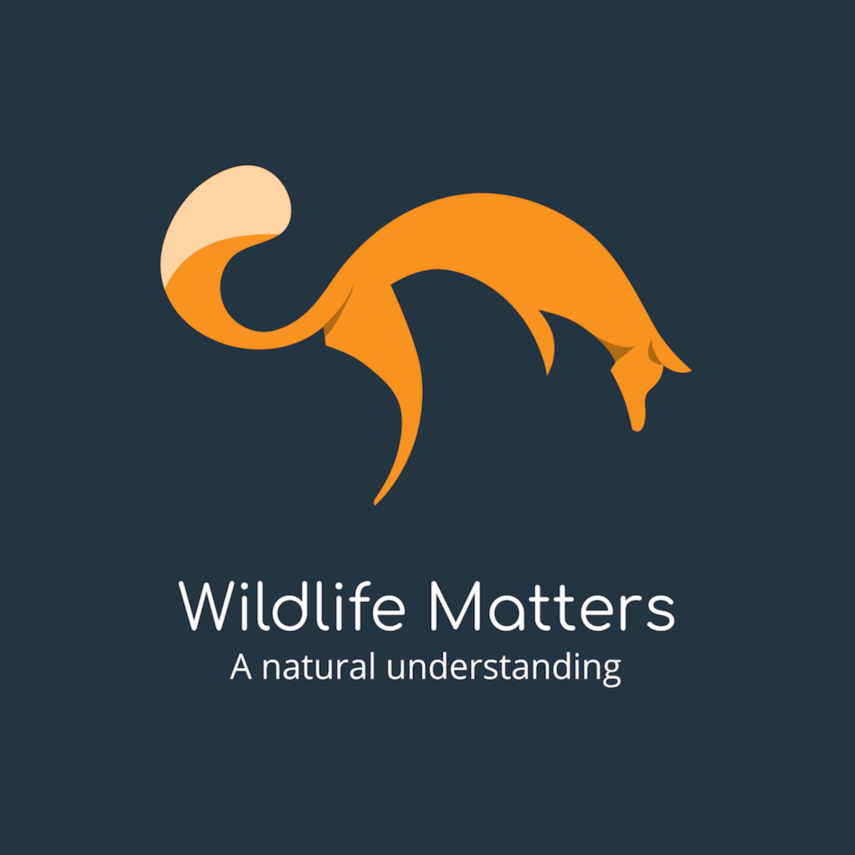 An Introduction to Wildlife Matters Podcast – From Passion to Action