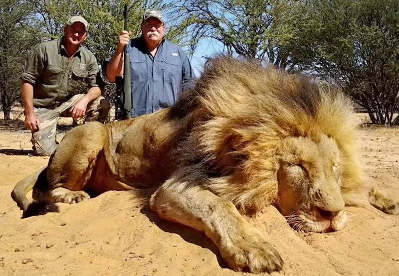 Trophy Hunters with Lion Wildlife Matters The Illusion of Conservation