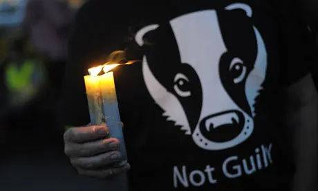 031 - The Badger Culls Part Two - The Randomised Badger Cull Trials