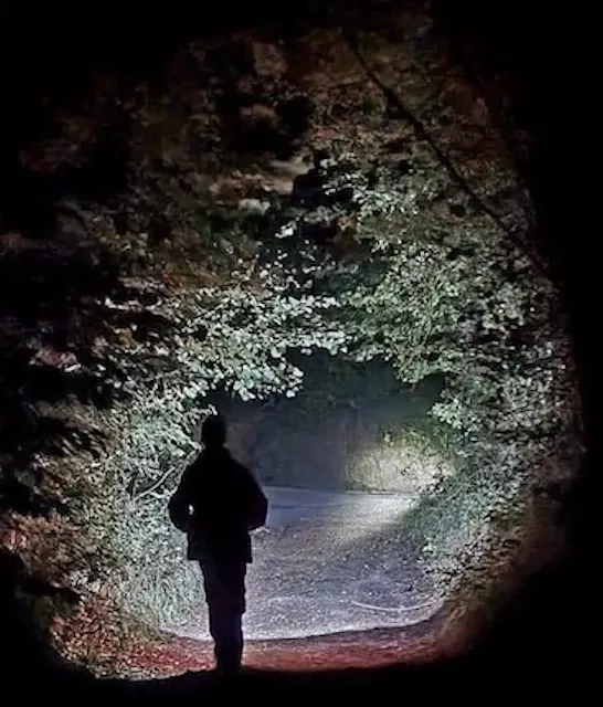 Badger Cull Badger Culls Badger Target British Government Why is the British Government Still Killing Badgers? Wildlife Matters Truth about the Badger Culls