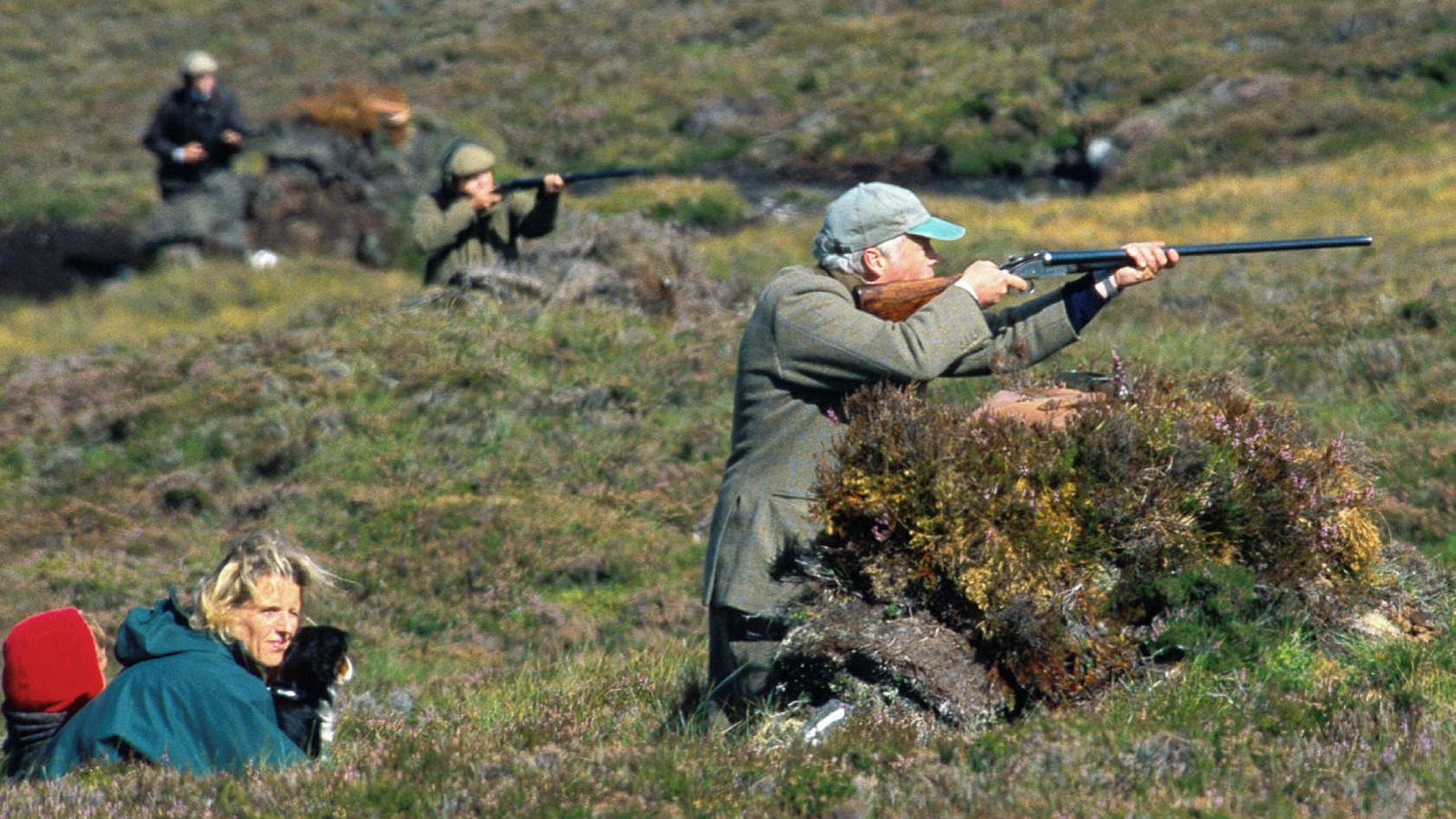 Grouse Moor Conservation Is it for Real? Wildlife Matters Investigates Driven Grouse Shooting Upland Moors Shooting Estates Game Shooting Heather Burning Peat burning Roation Burning