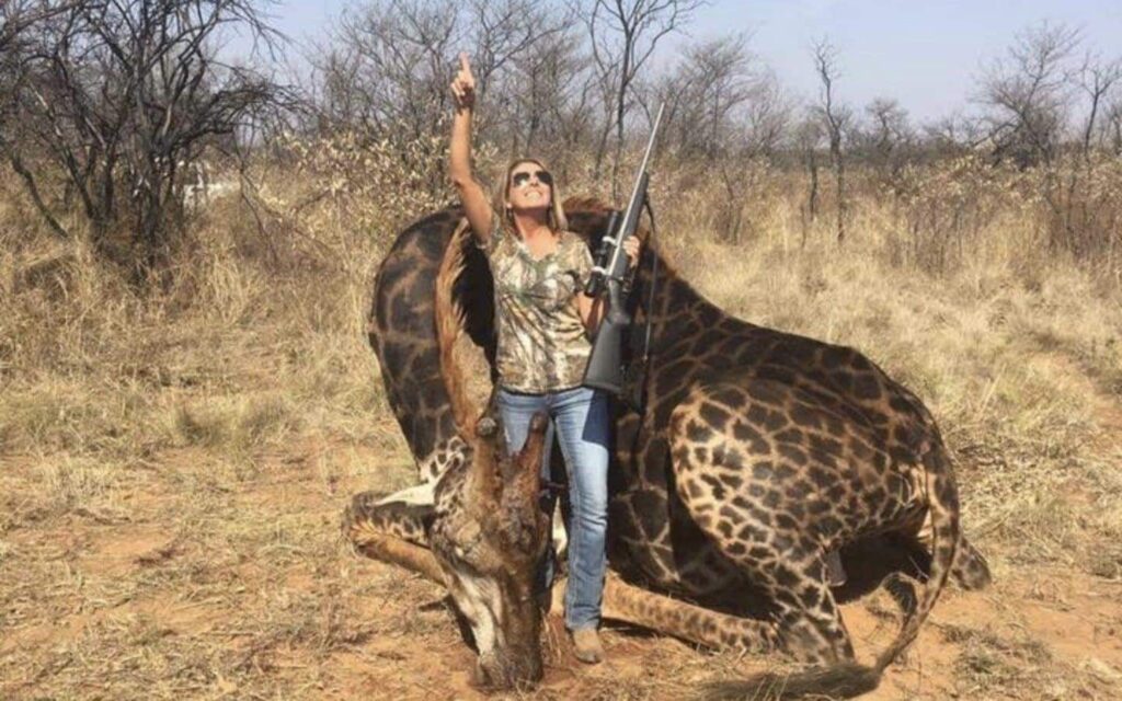 Trophy Hunter Women with Giraffe Wildlife Matters The Illusion of Conservation