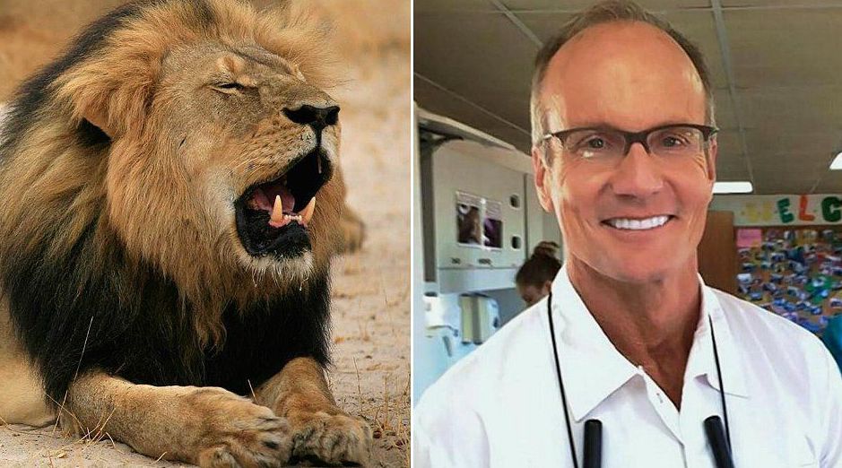 Walter Palmer US Dentist and Trophy Hunter who lured and killed Cecil the lion in 2015 Wildlife Matters The Illusion of Conservation
