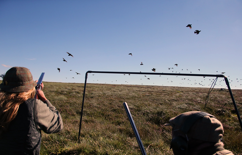 033 Blood on the Moors - The inglorious 12th