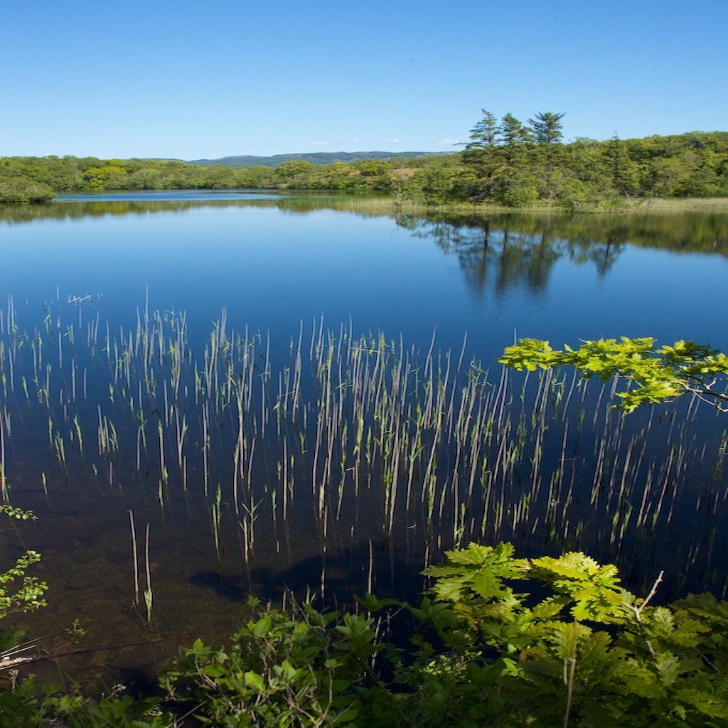 Lochan Taynish at the Taynish National Nature Reserve Argyll Scotland Autumn 2024