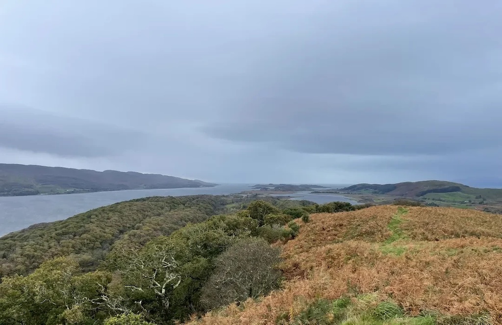 A view from the top of Taynish NNR Looking at the Loch towards the Atlantic Ocean