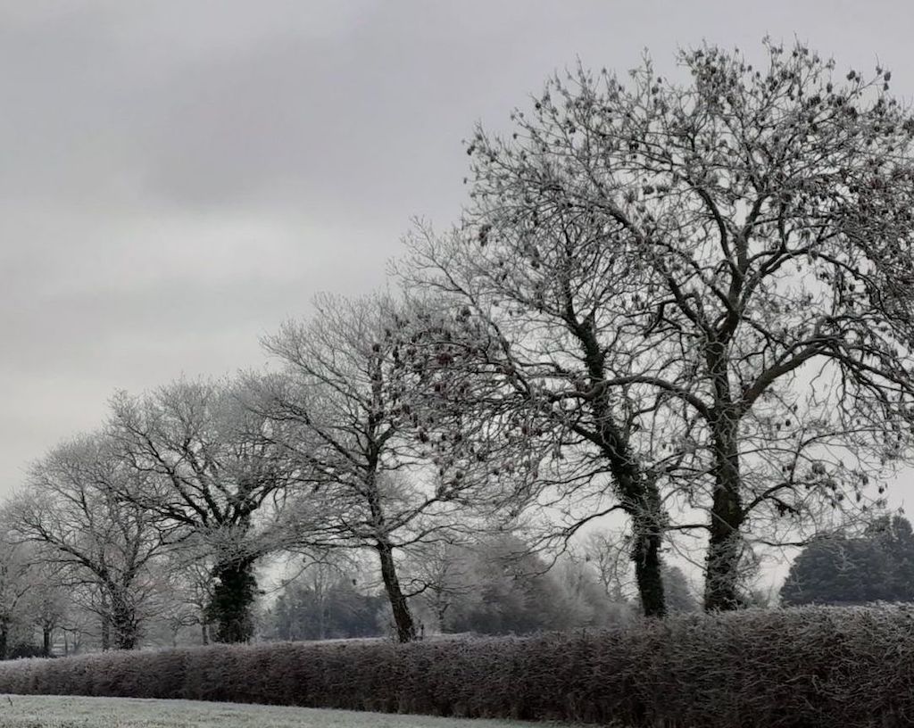 106 A Winter Wildlife Walk