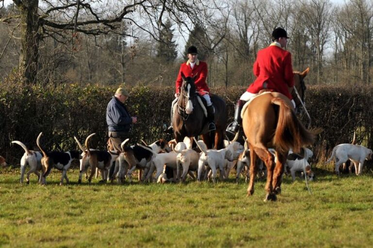 113 The Hunting Act Twenty Years On