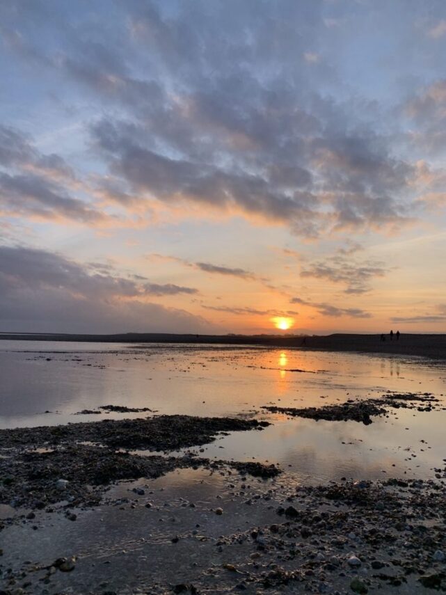 114 A Winter Wildlife Walk around Pagham Harbour