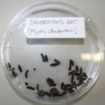 118 The Clue is in the Poo - A guide to wildlife poo!