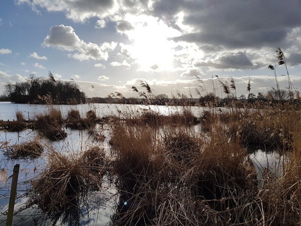 120 London’s Wild Places Walthamstow Wetlands Part One