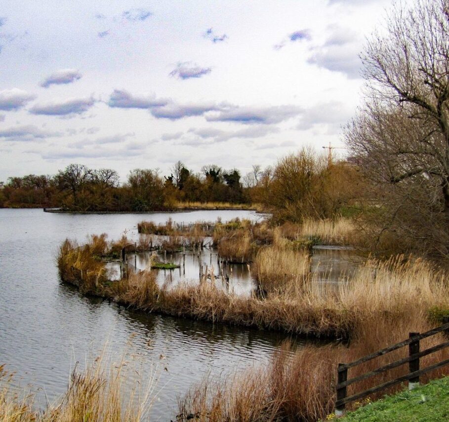 121 London s Wildest Places Walthamstow Wetlands Part Two 121-london-s-wildest-places-walthamstow-wetlands-part-two