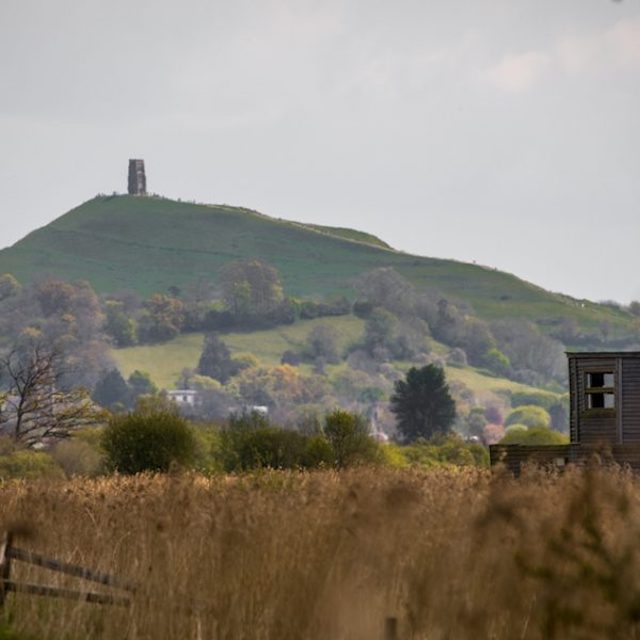 122 A solstice walk to Avalon Marshes