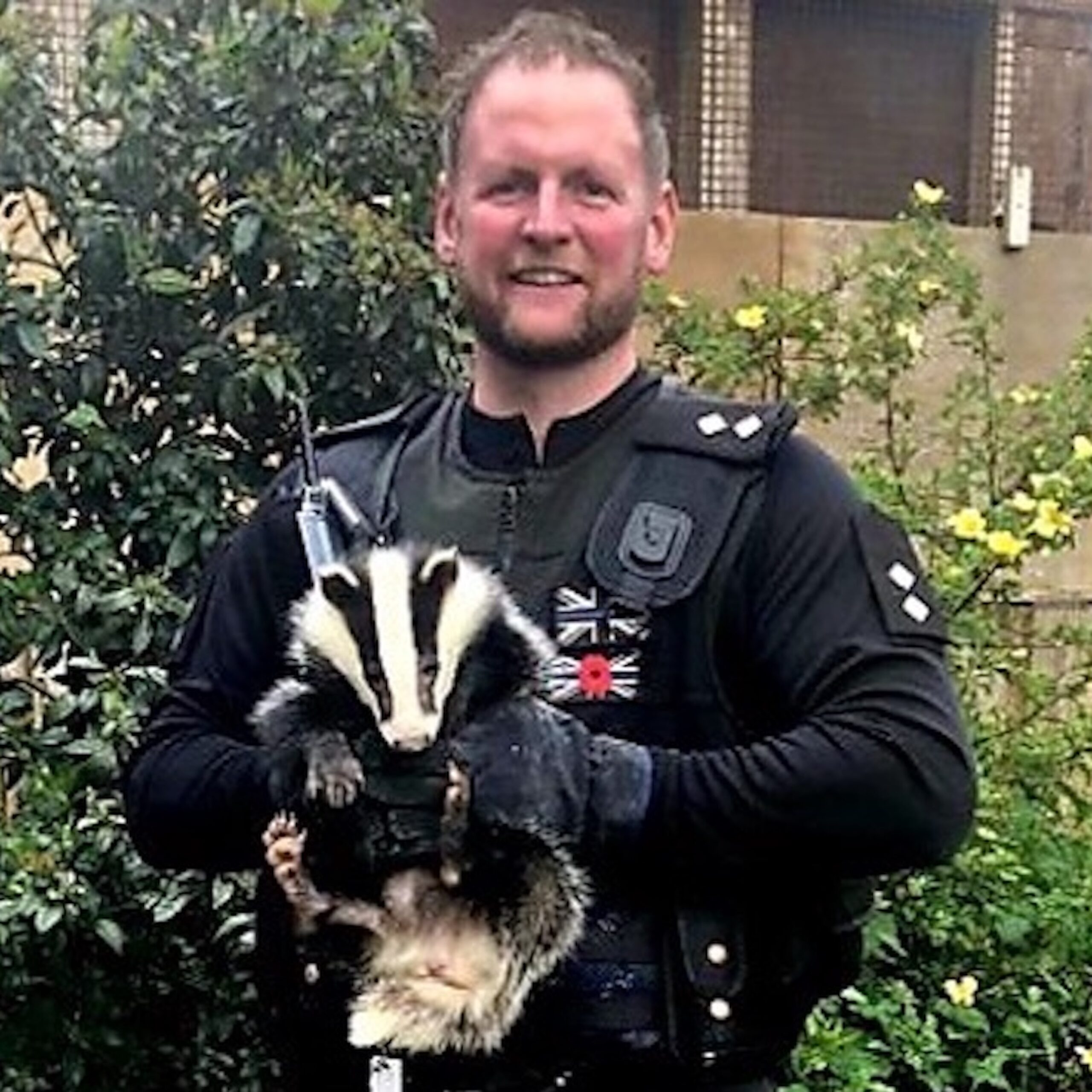 Britain’s Protected Wildlife Species               Part One Mammals