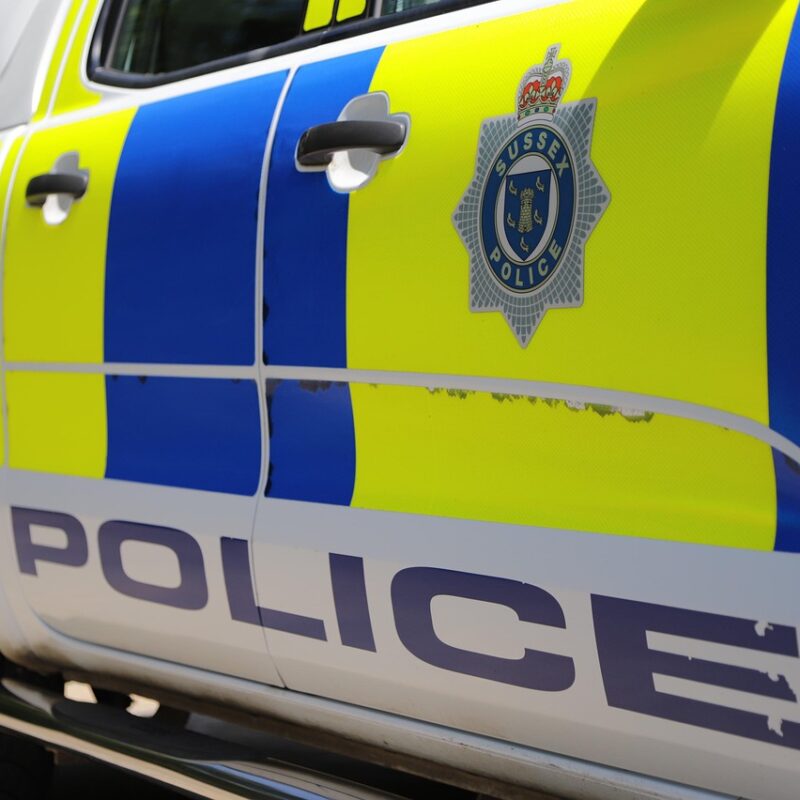 127 Britain’s Protected Wildlife Species Part Two