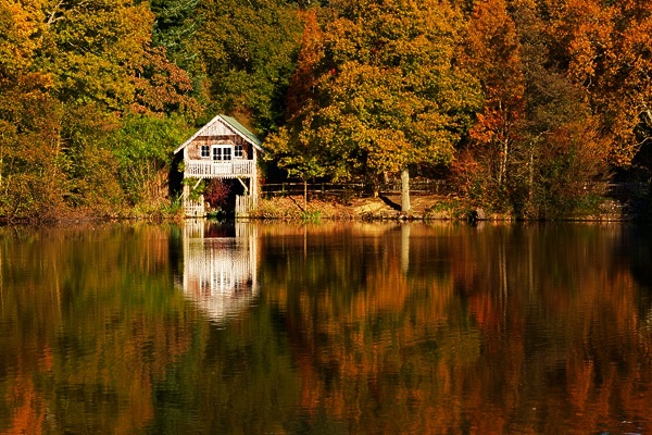 131 Autumn Walk at Winkworth Arboretum