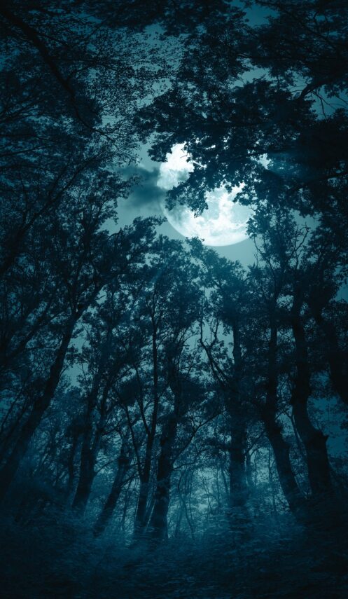 141 Storytelling Special Spring Equinox