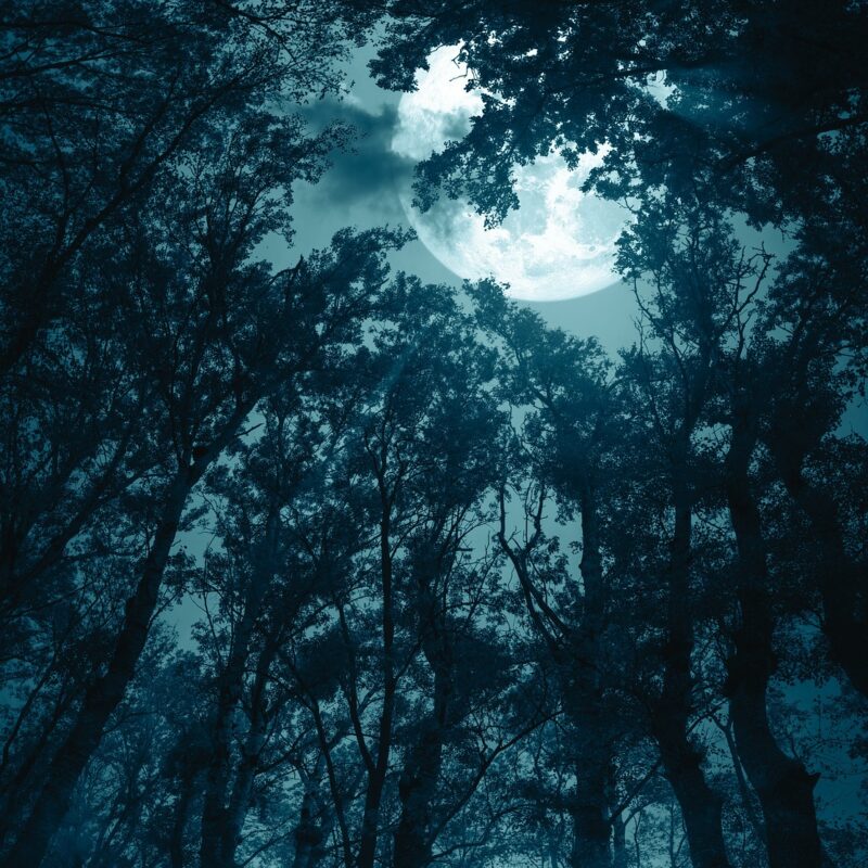 141 Storytelling Special Spring Equinox