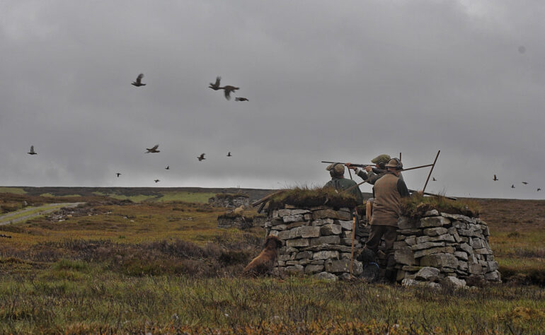 144 Wildlife Matters Investigates the Shadow of the Grouse Moors