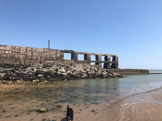 145 A Spring Walk Around Rye Harbour